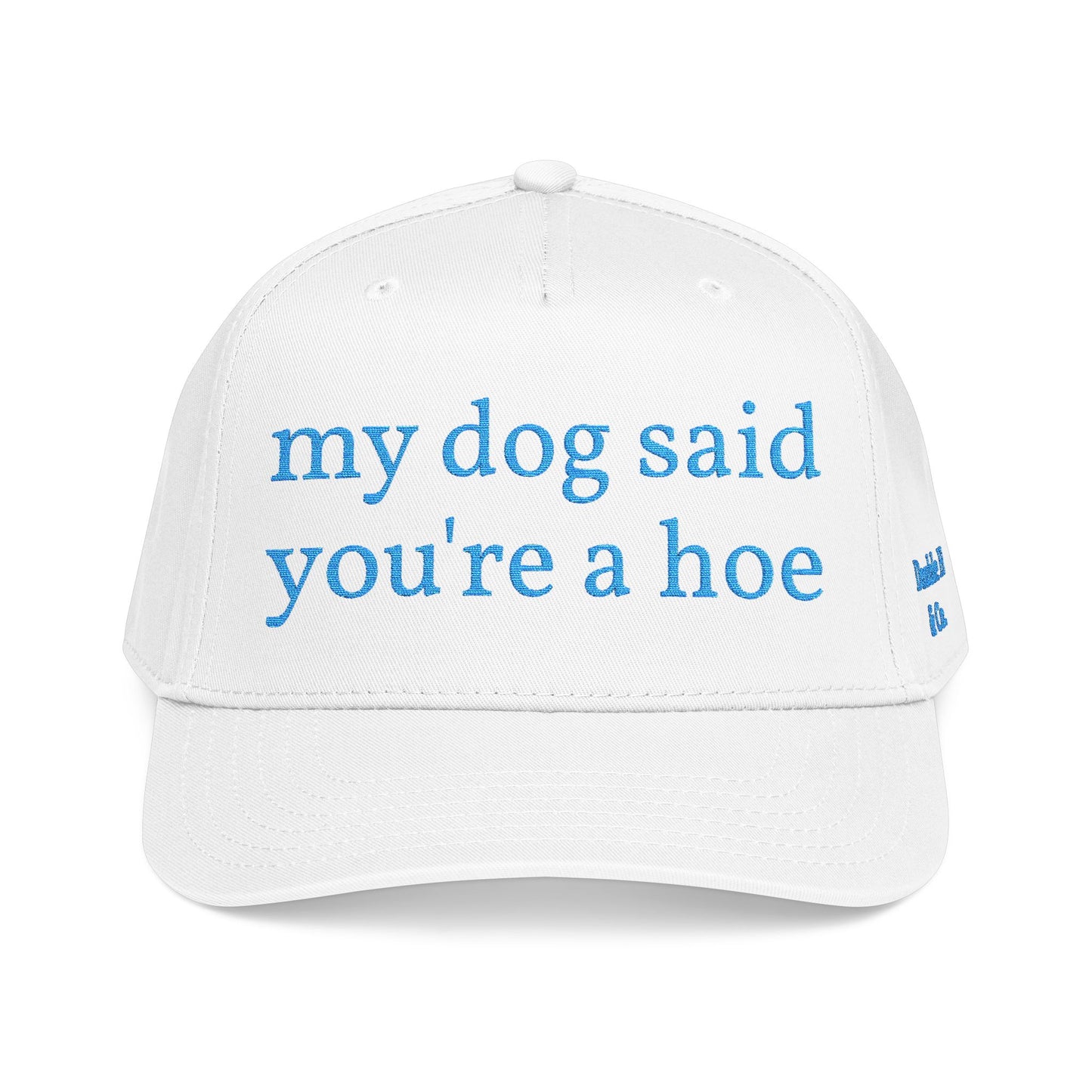 "My Dog Said You're A Hoe" Hat (Turquoise)