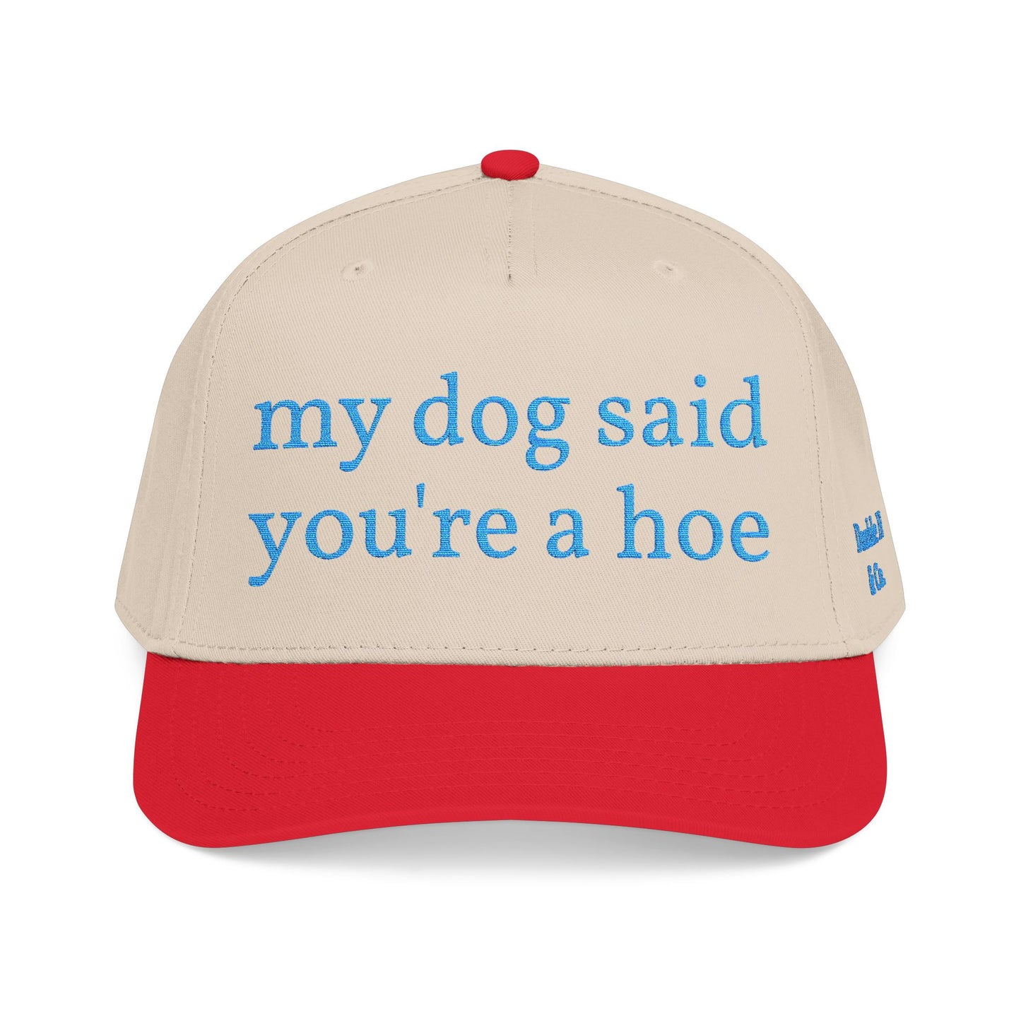 "My Dog Said You're A Hoe" Hat (Turquoise)