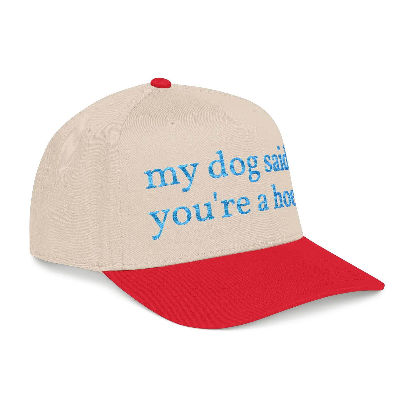 "My Dog Said You're A Hoe" Hat (Turquoise)
