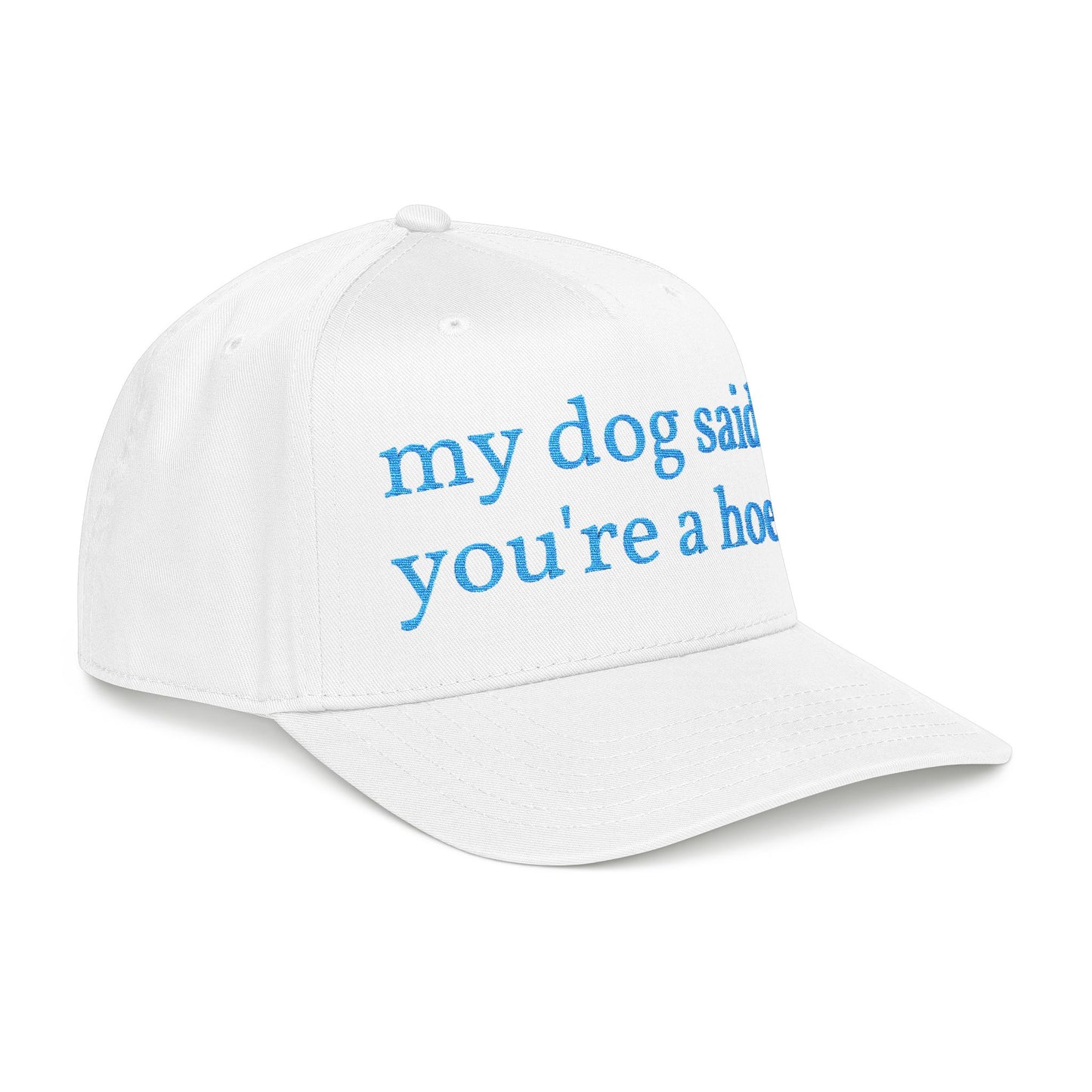 "My Dog Said You're A Hoe" Hat (Turquoise)