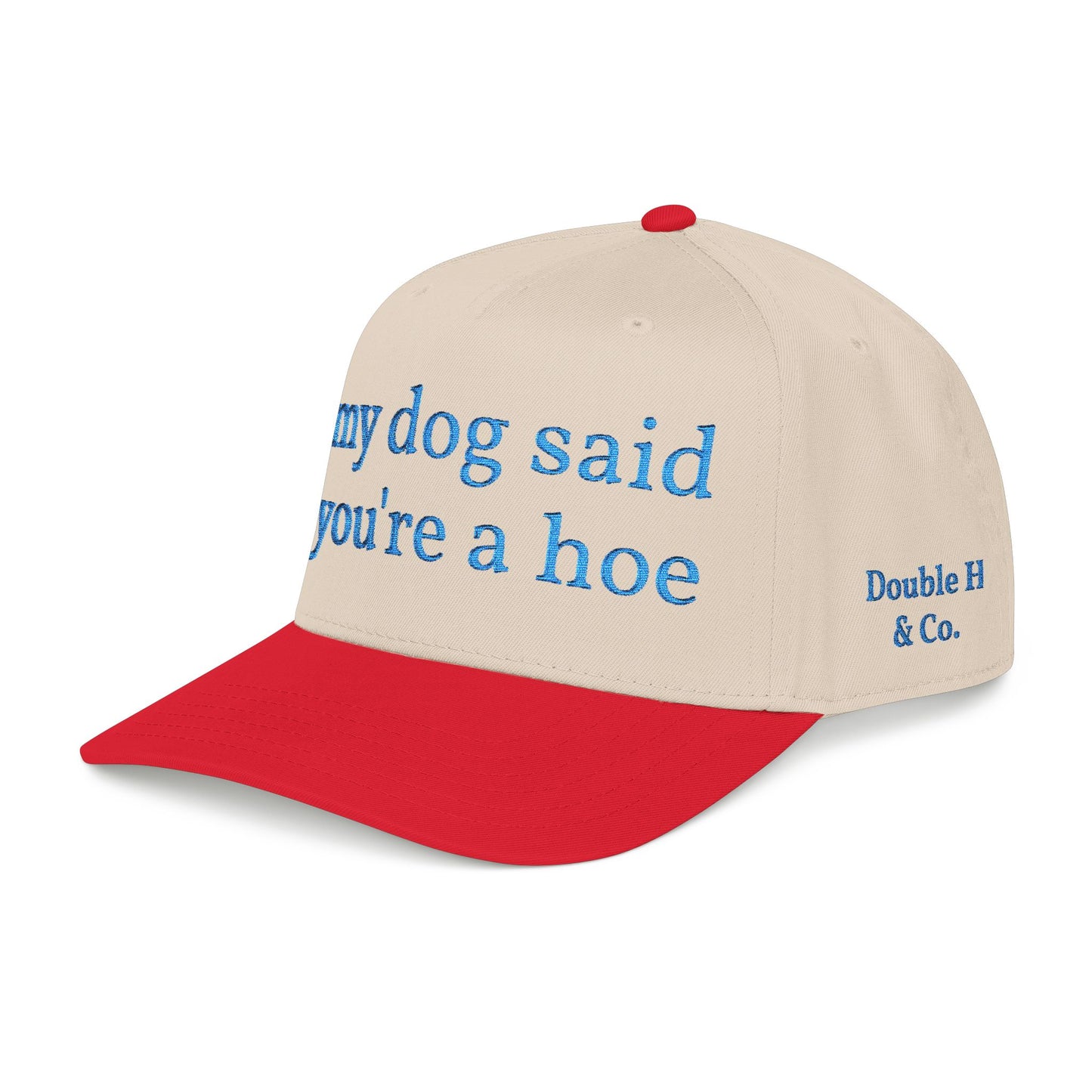 "My Dog Said You're A Hoe" Hat (Turquoise)