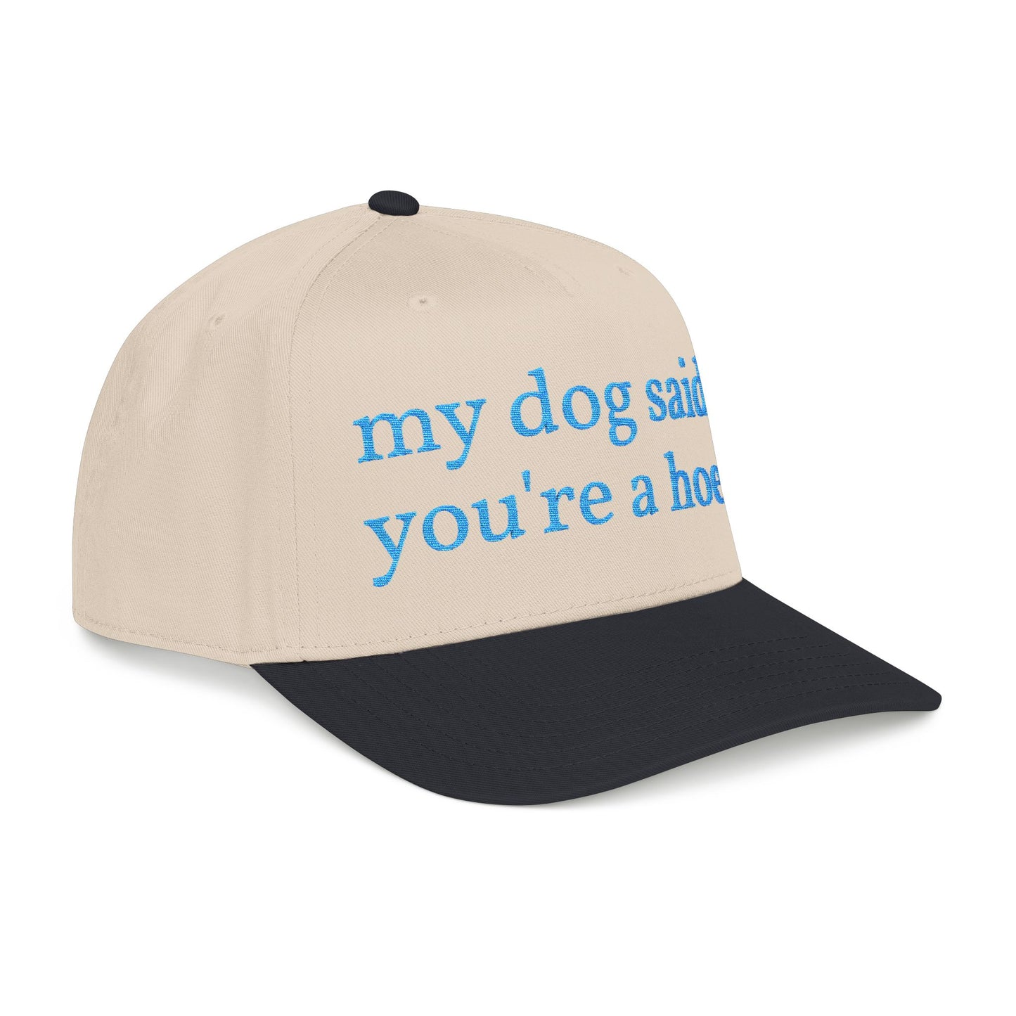 "My Dog Said You're A Hoe" Hat (Turquoise)