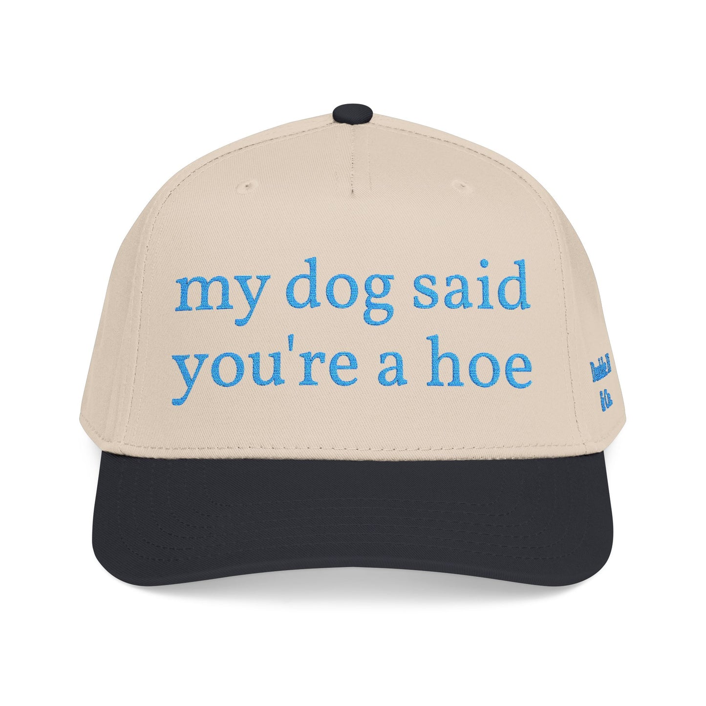 "My Dog Said You're A Hoe" Hat (Turquoise)