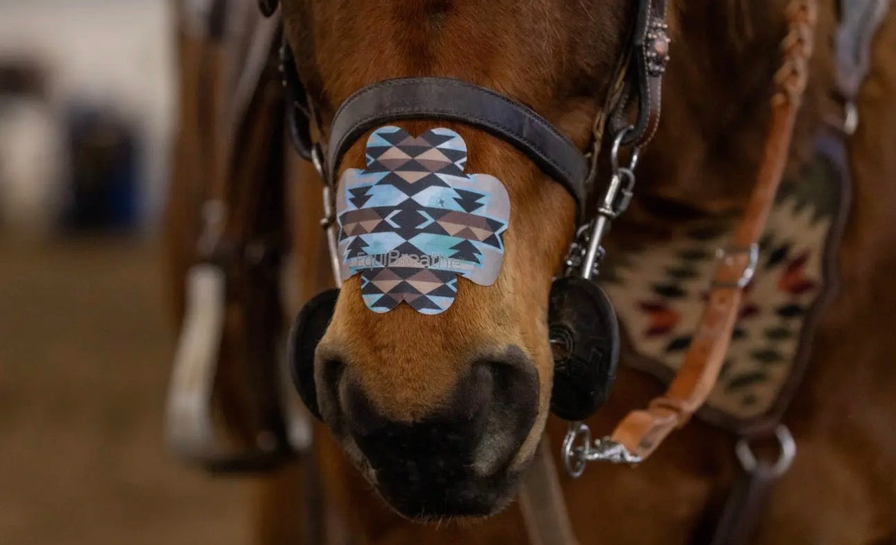 Aztec EquiBreathe