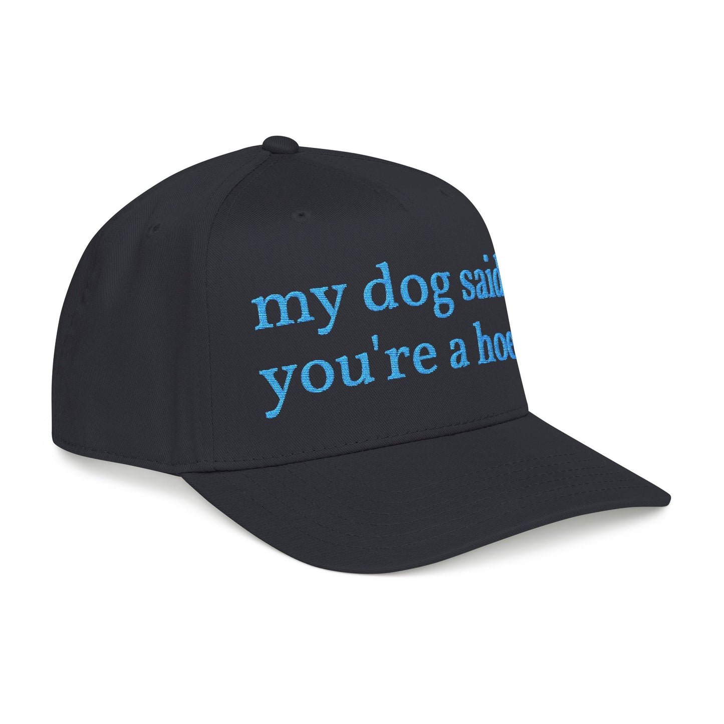 "My Dog Said You're A Hoe" Hat (Turquoise)