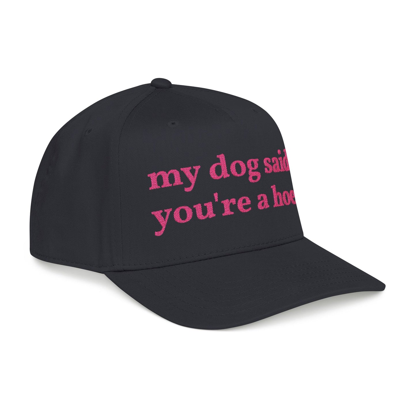 "My Dog Said You're A Hoe" Hat (Pink)