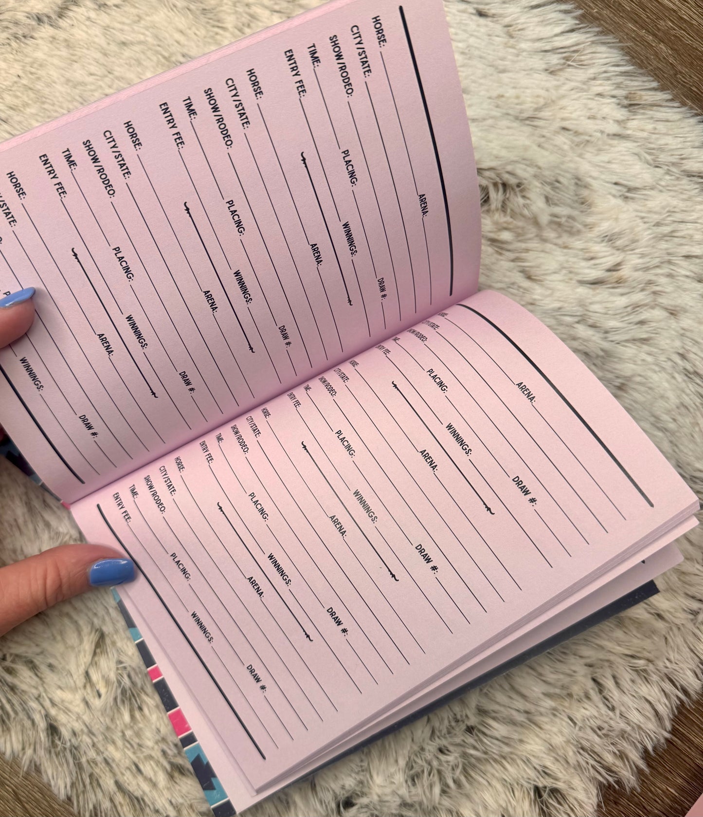 The Rodeo Record Book