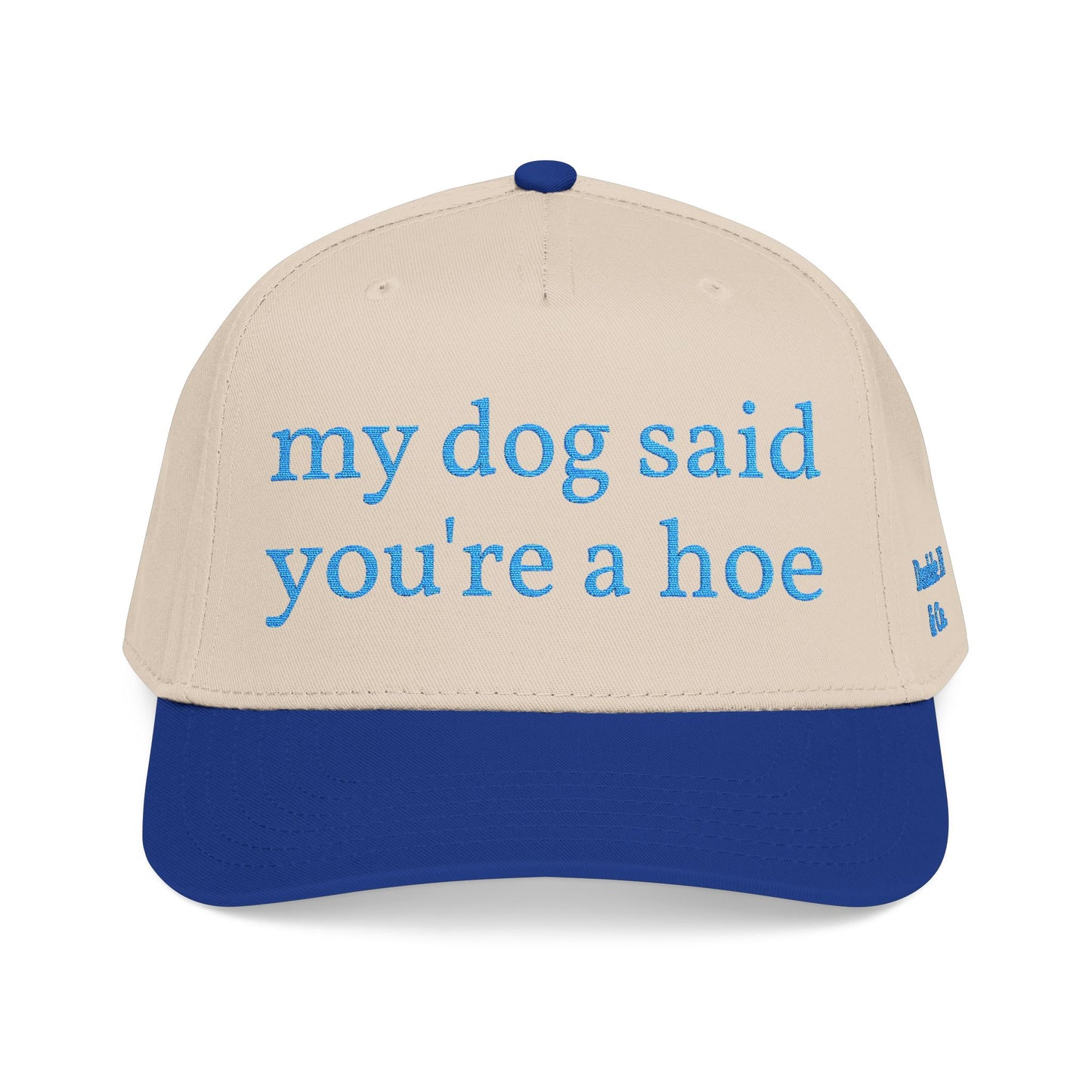 "My Dog Said You're A Hoe" Hat (Turquoise)