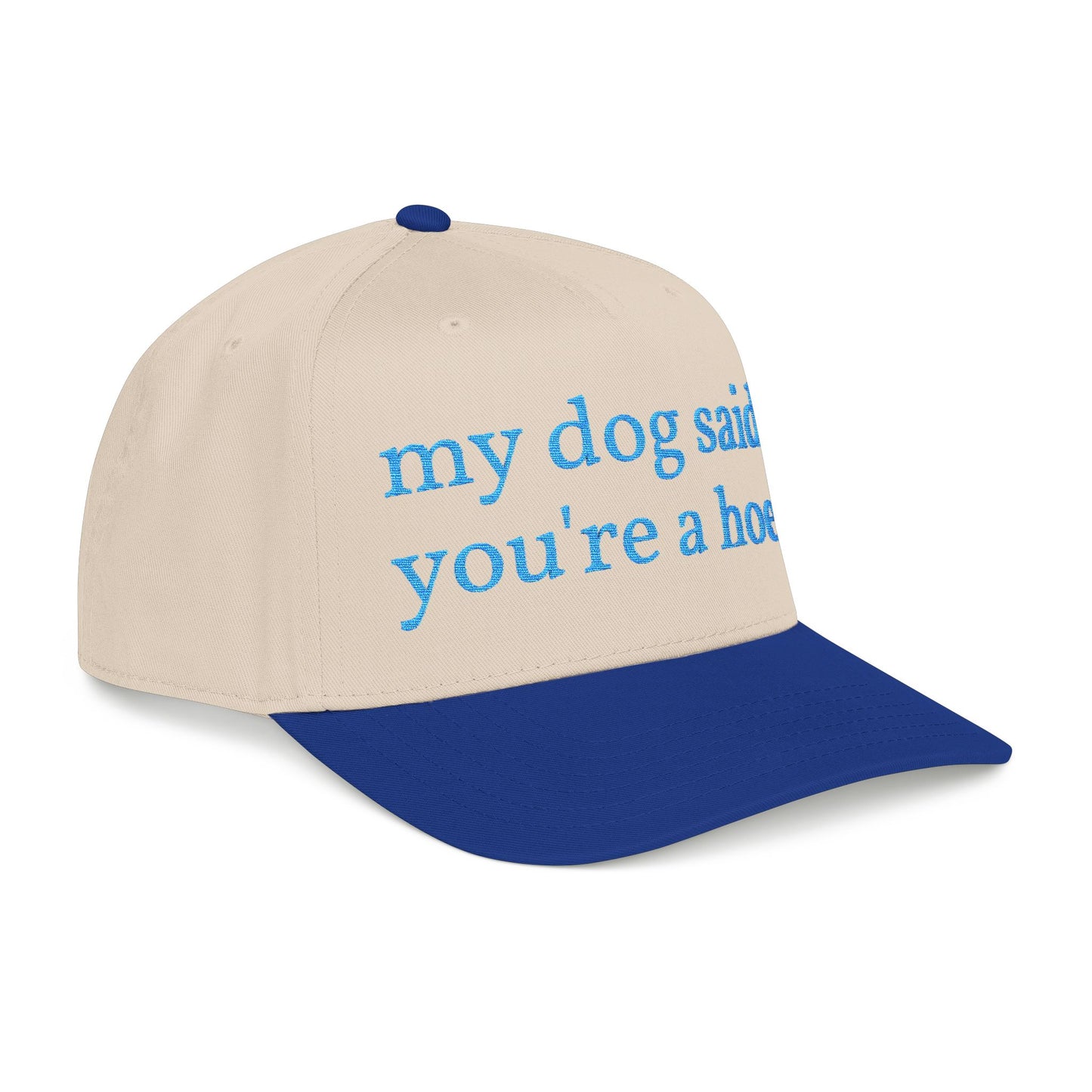 "My Dog Said You're A Hoe" Hat (Turquoise)