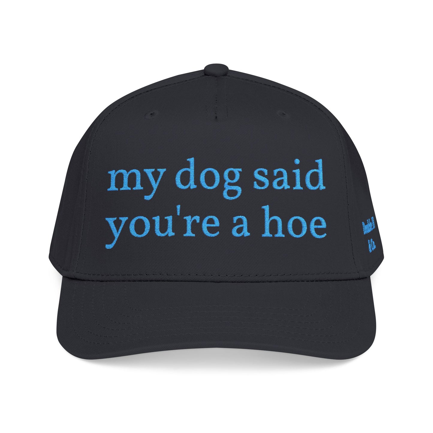 "My Dog Said You're A Hoe" Hat (Turquoise)